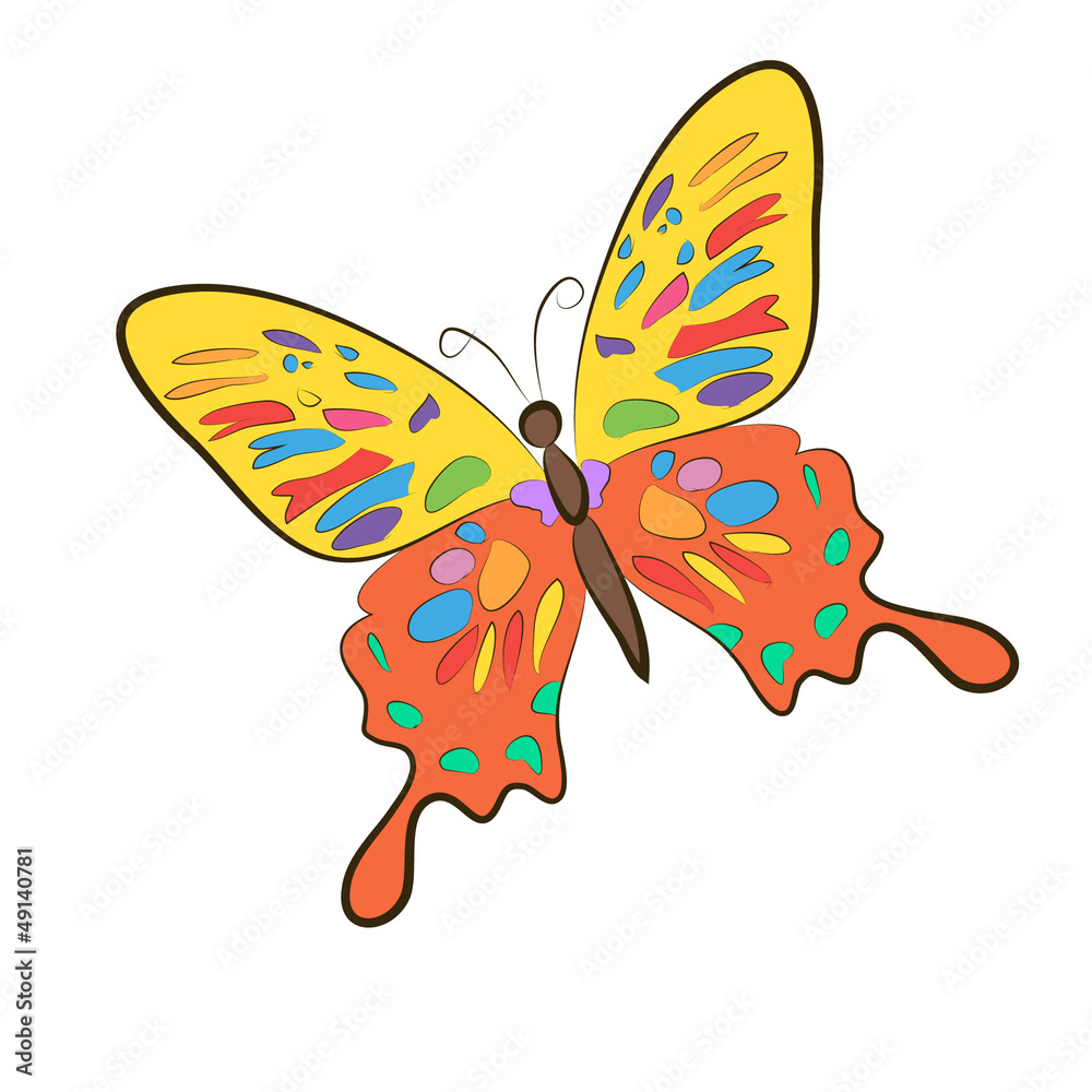 Isolated Butterfly Isolated Butterfly