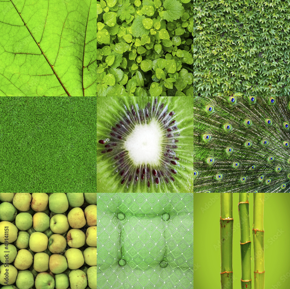 Naklejka premium Green collage