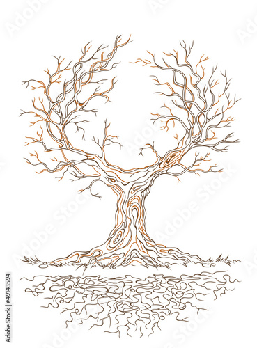 Vector graphic old branchy tree