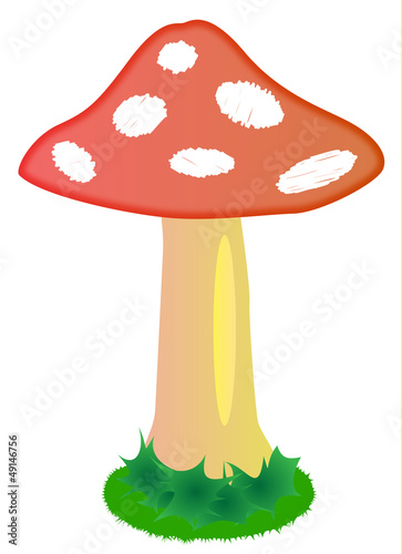 Mushroom Illustration - Amanita muscaria