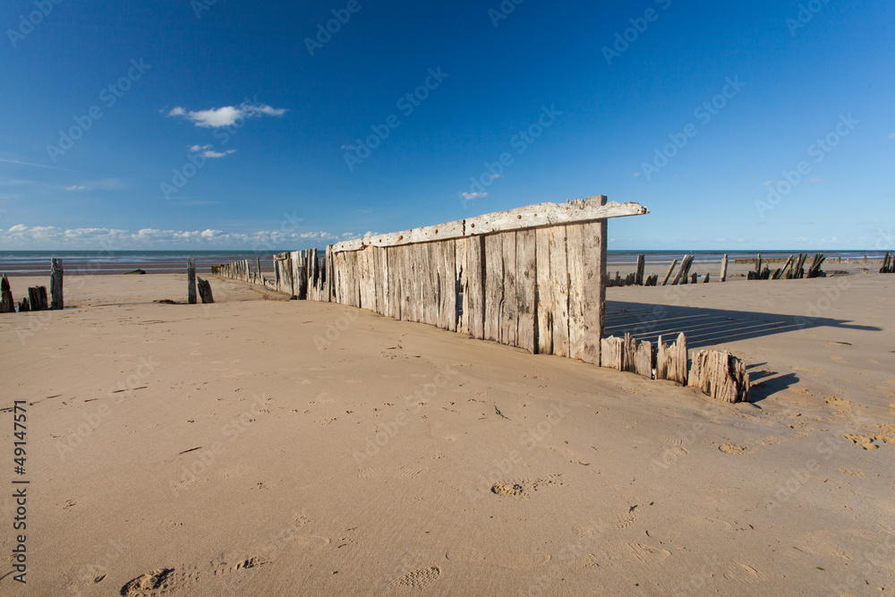 old marine wood in the beach in normandy