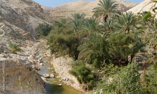 Wadi Qelt creek in Judean Desert in spring
