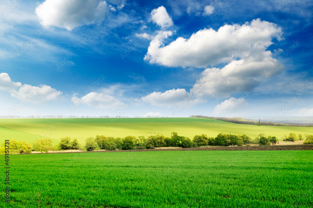beautiful spring field beautiful spring field