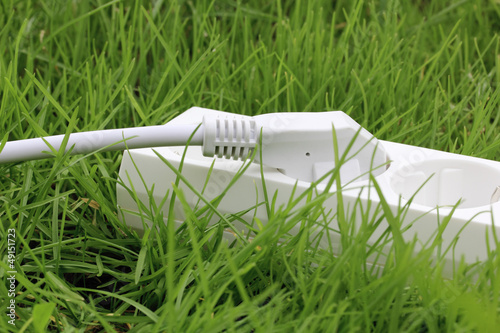 power strip lying on the grass