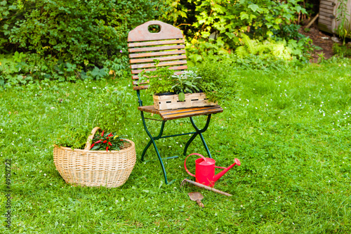 Korb mit Kräutern im Garten, basket with herbs in a garden