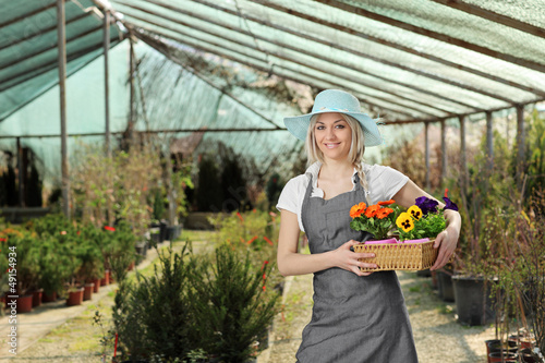 Fotografie, Obraz Female gardener posing with a basket full of flowes in a hothous