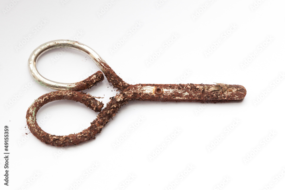 Very rusty scissors (with one clean handle and rounded blades) Very rusty scissors (with one clean handle and rounded blades)