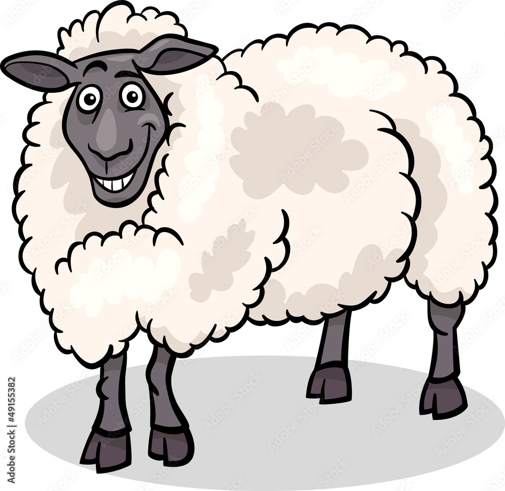 sheep farm animal cartoon illustration