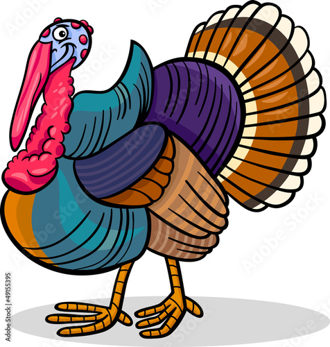 turkey farm bird animal cartoon illustration