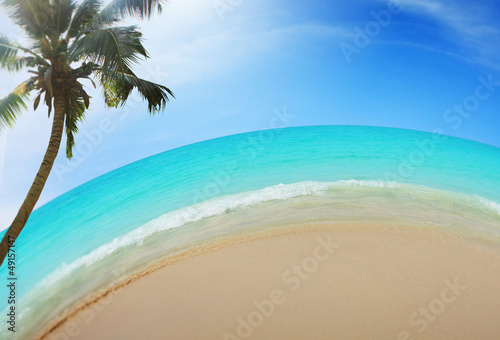 beach   tropical sea