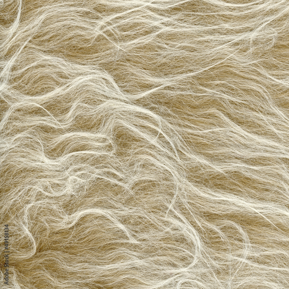Obraz premium textured background
