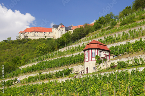 Freyburg, Neuenburg, Weinberg, Vineyard at Freyburg