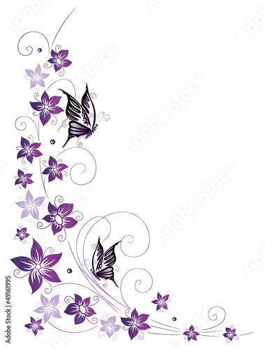 Ranke, flora, Blüten, Schmetterlinge, lila, violett #49161995