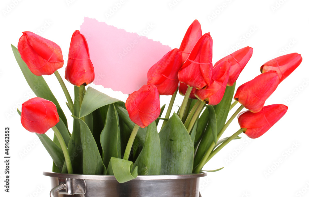 Beautiful tulips in bucket isolated on white Beautiful tulips in bucket isolated on white