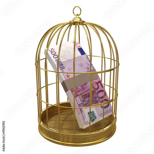 Birdcage with Euro notes inside