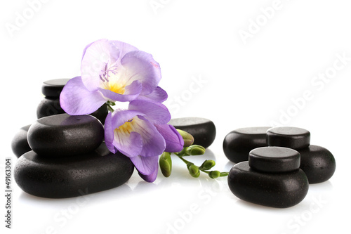 Spa stones and purple flower  isolated on white