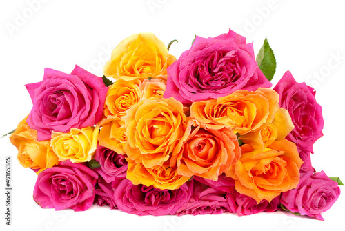 mixed pink and yellow rose