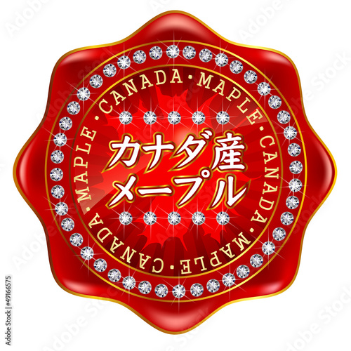 カナダ　メープル　フレーム