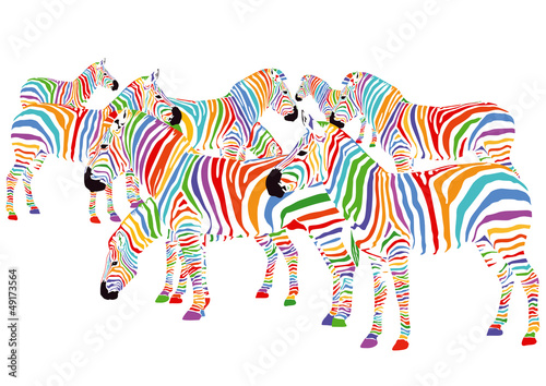 Farbenfrohe Zebras