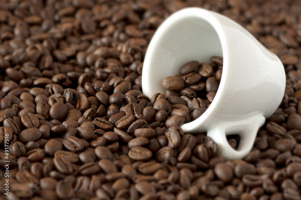 Fototapeta premium Cup on coffee beans