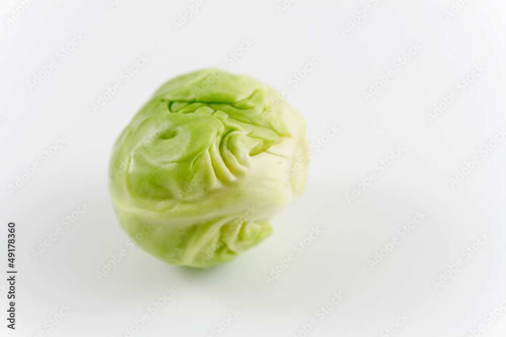einzelner rosenkohl einzelner rosenkohl