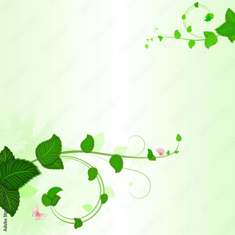 Green branches with leaves spring background Green branches with leaves spring background