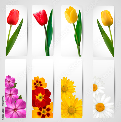 Fototapeta Naklejka Na Ścianę i Meble -  Set of banners with different colorful flower. Vector illustrati