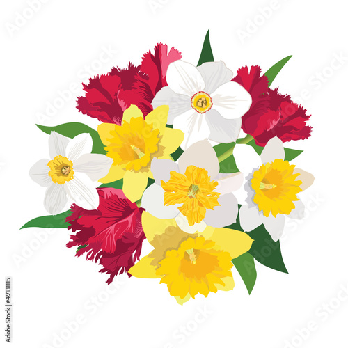 Fototapeta Naklejka Na Ścianę i Meble -  flower bouquet. spring flowers tulip and daffodil isolated.