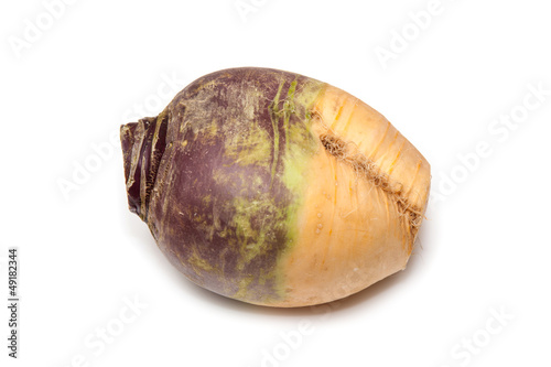Swede isolated on a white background.