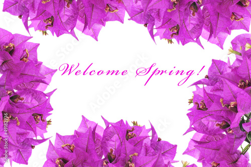 welcome spring