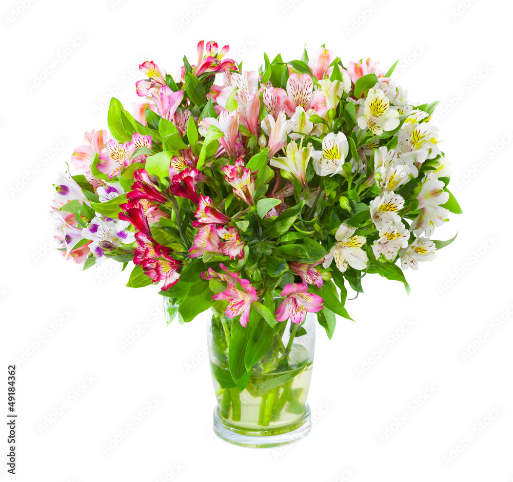 Bouquet of alstroemeria flowers in glass vase isolated over whit