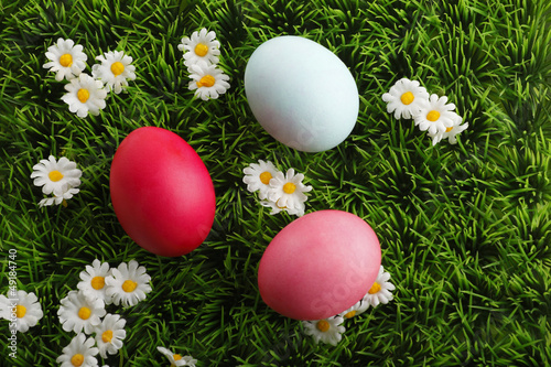 Colored easter eggs with little daisy flowers in grass