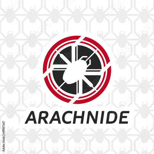 Arachnide