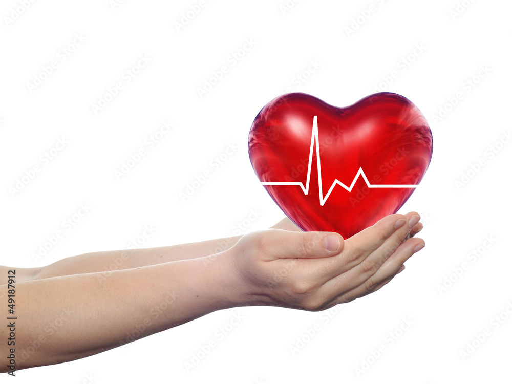 Fototapeta premium Conceptual 3D red heart held in human hands isolated on white
