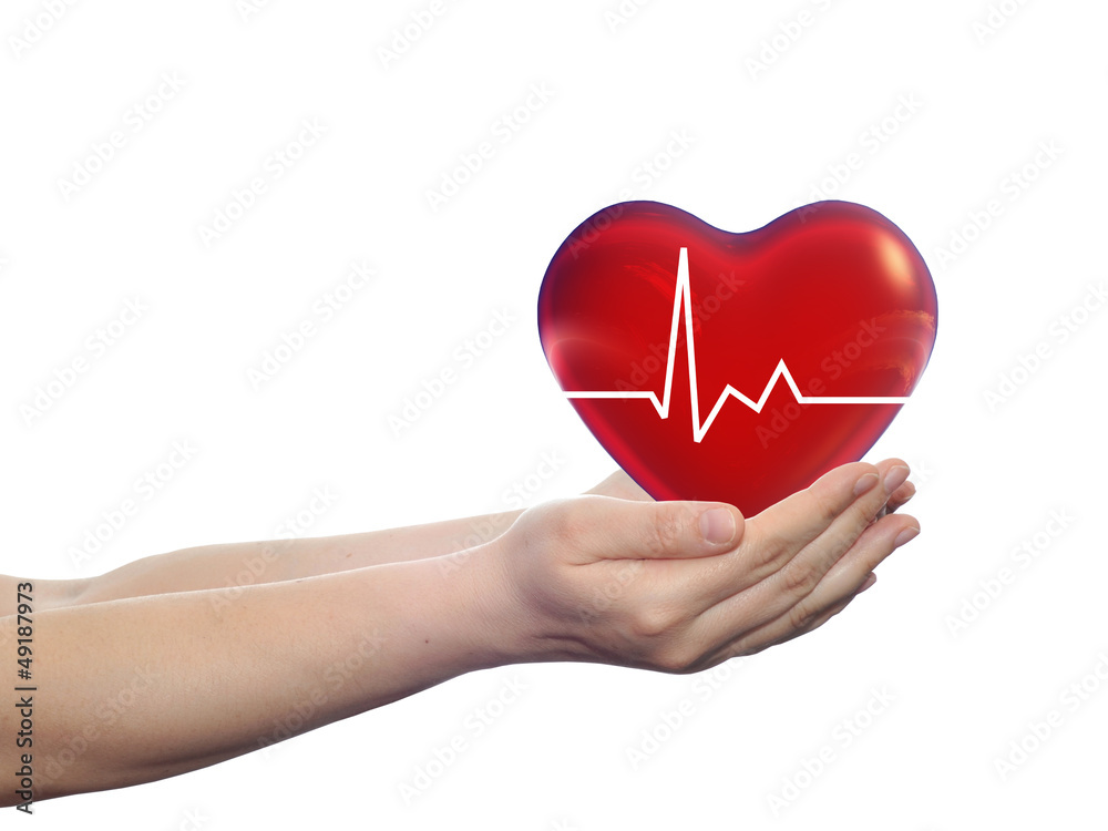 Conceptual 3D red heart held in human hands isolated on white