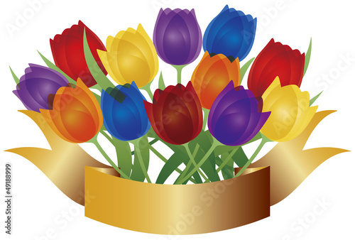 Colorful Tulips with Gold Banner Illustration