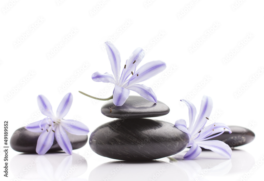Spa stones. Spa stones.