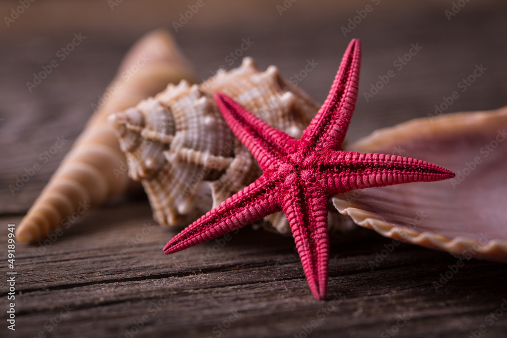 Close-up of red starfish seashell on old wooden board. Close-up of red starfish seashell on old wooden board.