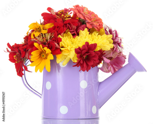 bouquet of beautiful summer flowers in watering can, isolated