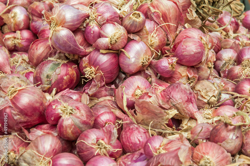 Close-up onion