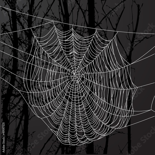 Realistic spider web over black background with tree.