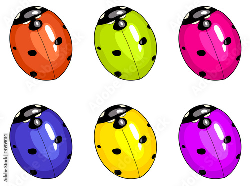 Ladybird beetle. Unreal colours