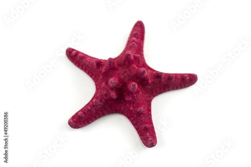 Red sea star isolated on white background