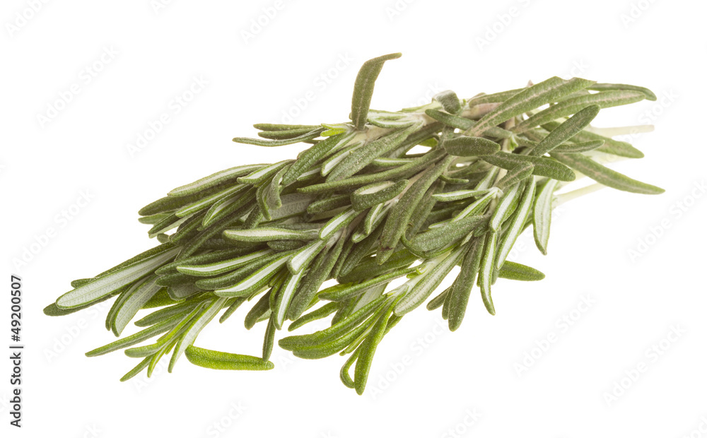Rosemary Rosemary
