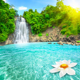 Lotus flower in waterfall pool