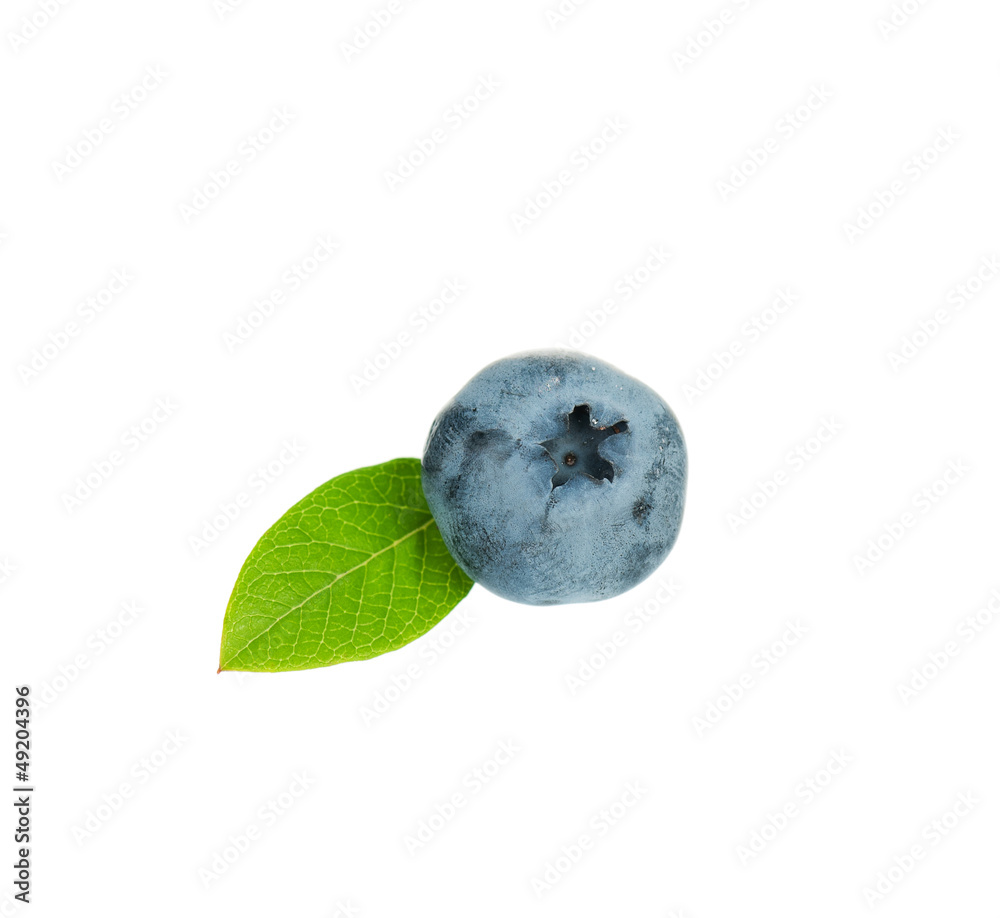 Obraz premium Ripe blueberry
