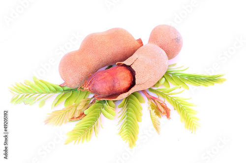 Quadro em tela Tamarind