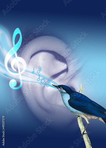 Hearing Aid - Ilustration
