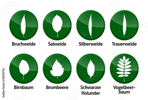 Laubblätter Buttons Vektor
