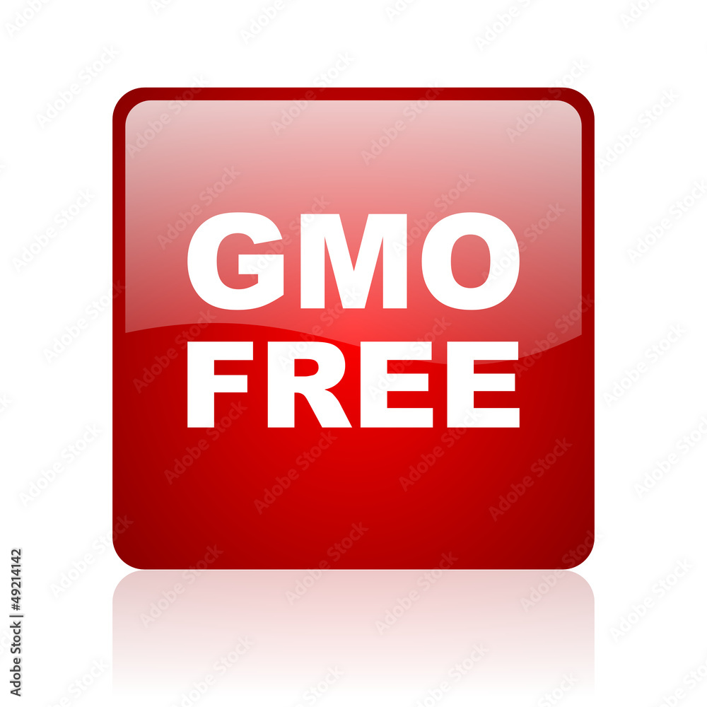 gmo free red square glossy web icon on white background gmo free red square glossy web icon on white background
